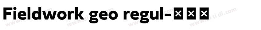 Fieldwork geo regul字体转换